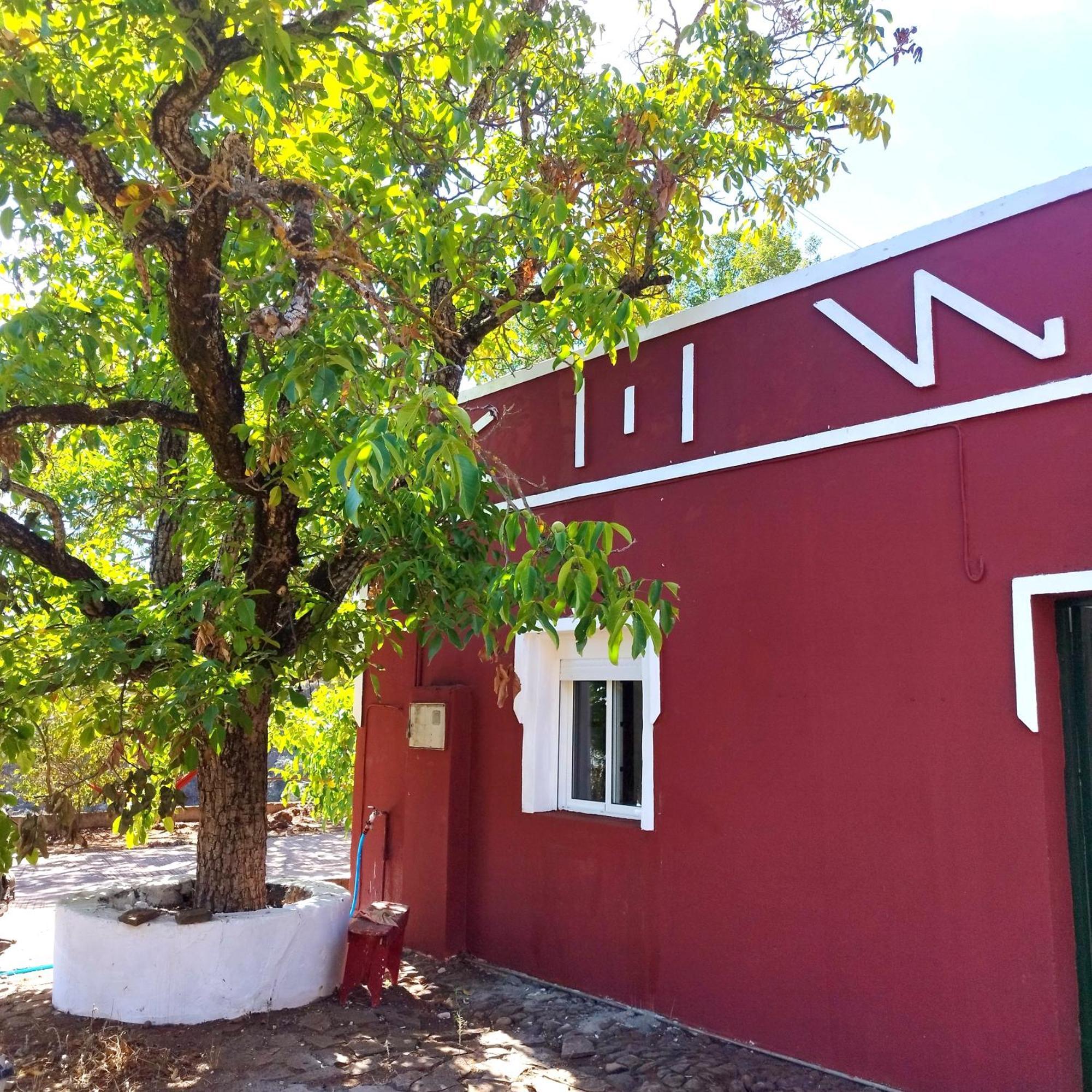 La Casita Hostel Вега де Сан Матео Екстериор снимка